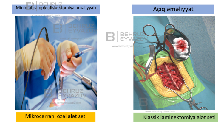 Semiz ayollar Vologda fohisha veb-sayti